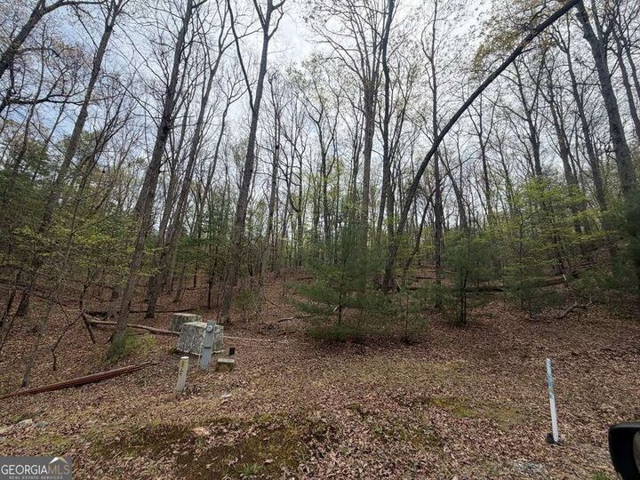 Property Photo:  #16 Christian Crossing  GA 30560 