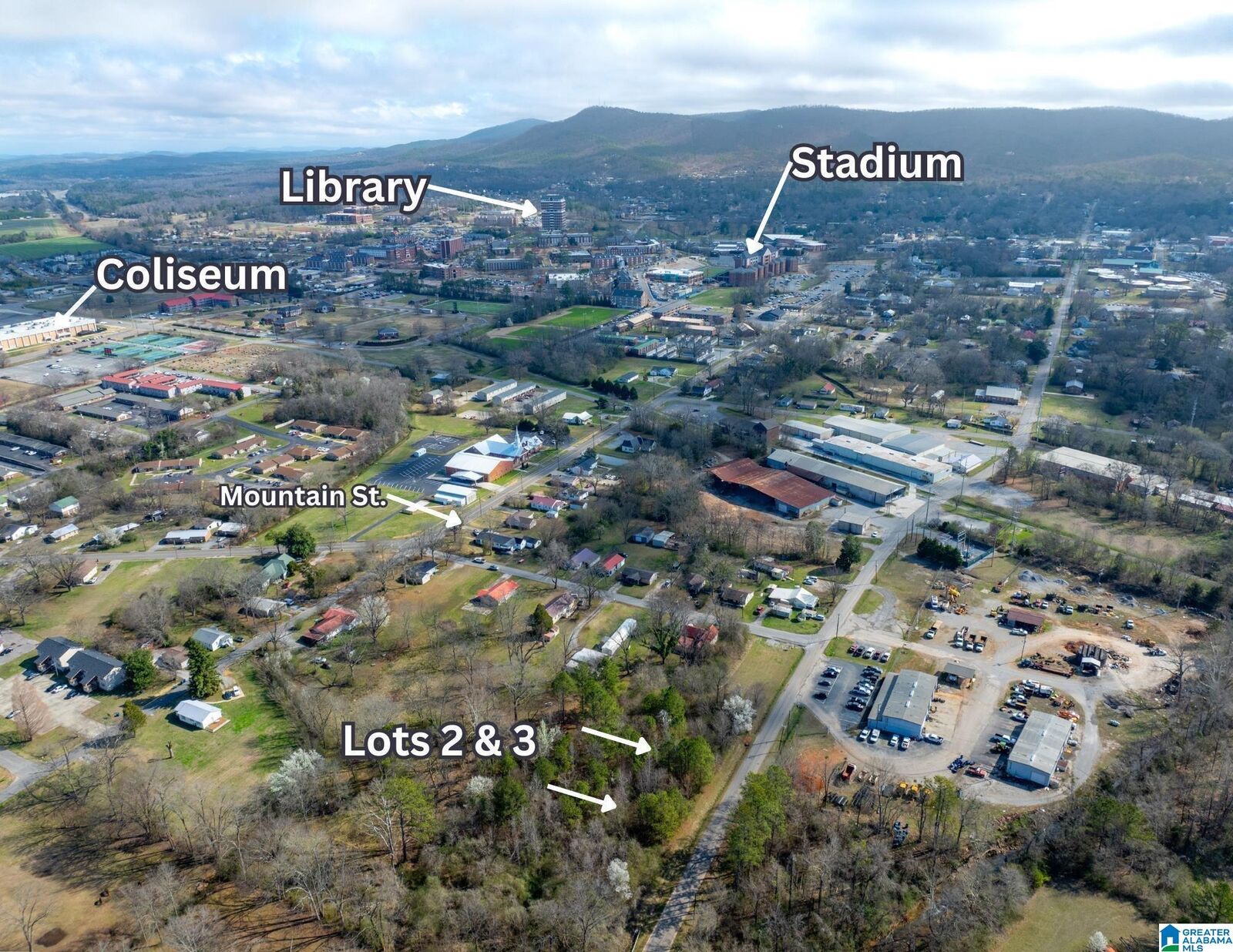 Property Photo: Lot 4 Francis Street 4 AL 36265