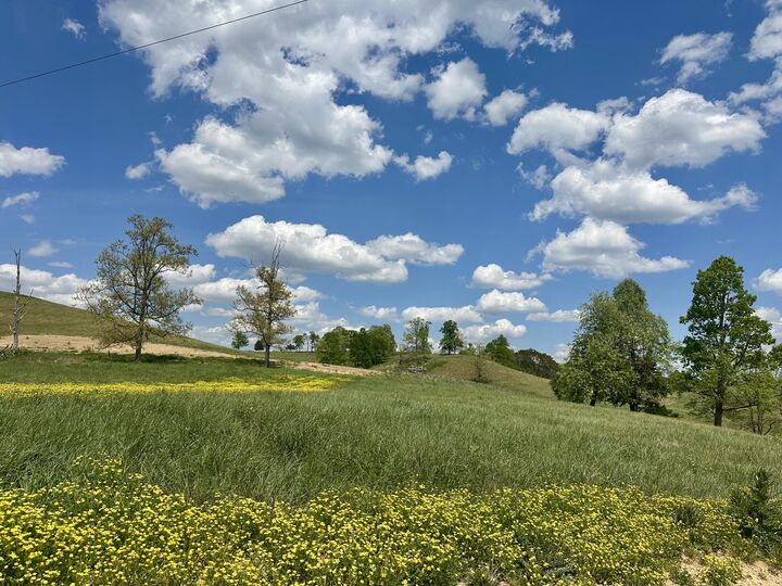 Property Photo:  1090 Pittsburg Landing Tract 30  KY 40741 