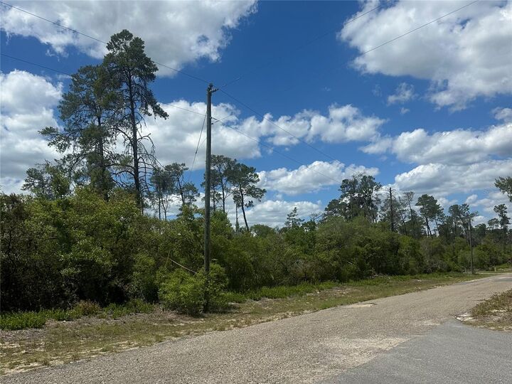 Property Photo:  8036 N Wayside Avenue  FL 34433 