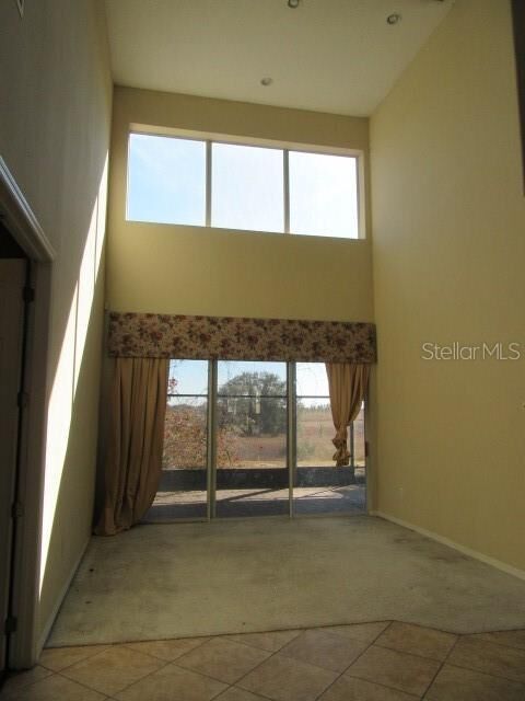 Property Photo:  4509 Powderhorn Place Drive  FL 34711 