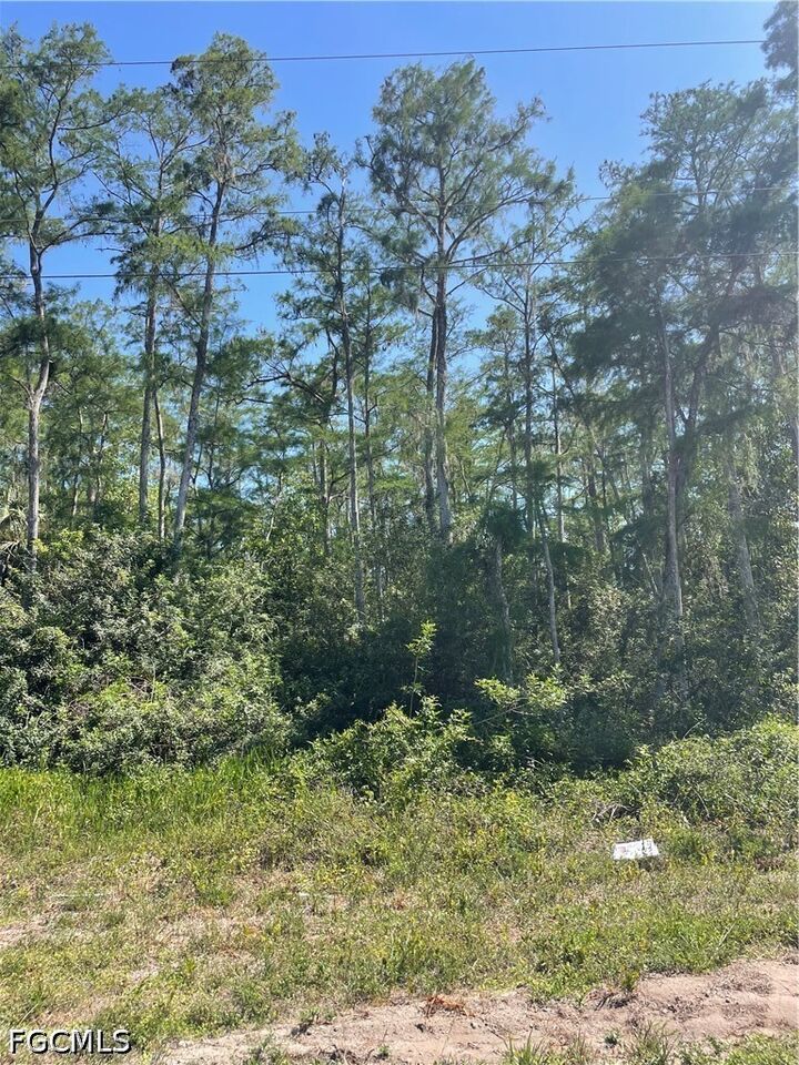 Property Photo:  666 Knapp Street  FL 33974 