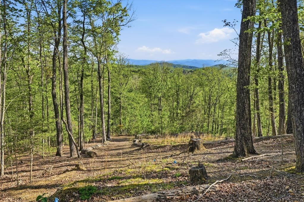 Property Photo:  194 Quiet Woods Trail  NC 28906 