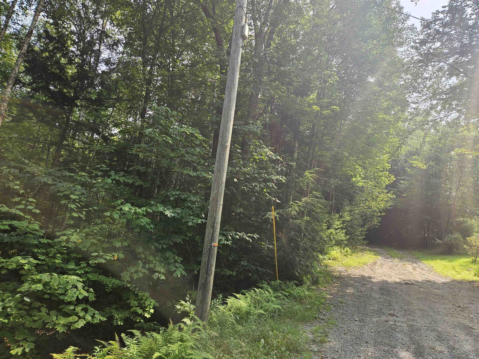 Property Photo:  Lot 265 King Drive  NH 03765 