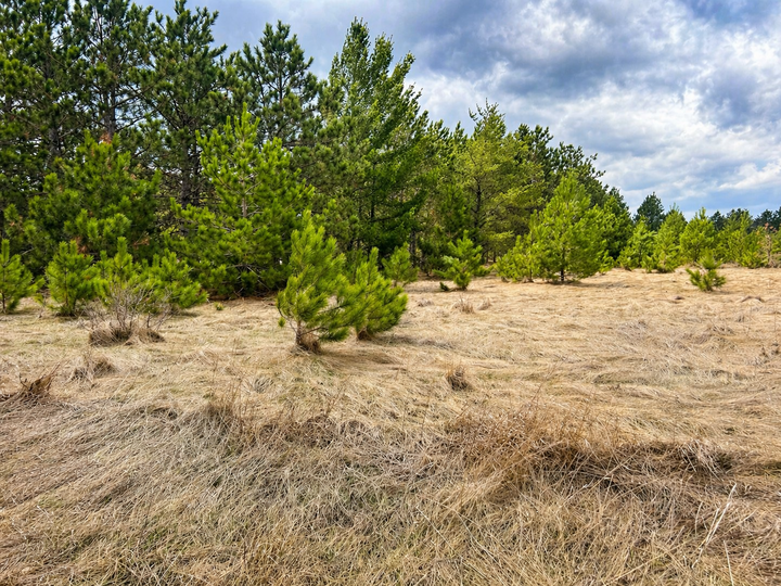Property Photo:  Tbd 8th Street W  MN 56470 