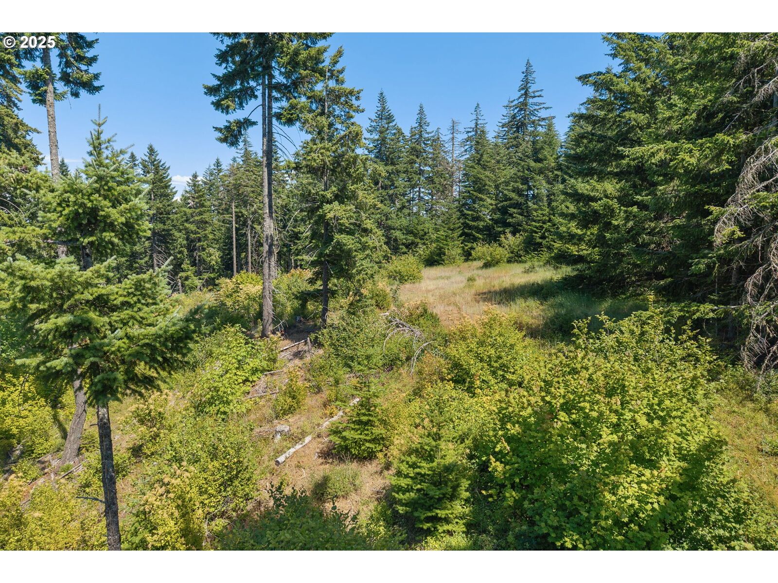 Property Photo:  15 Brookside Dr  WA 98672 