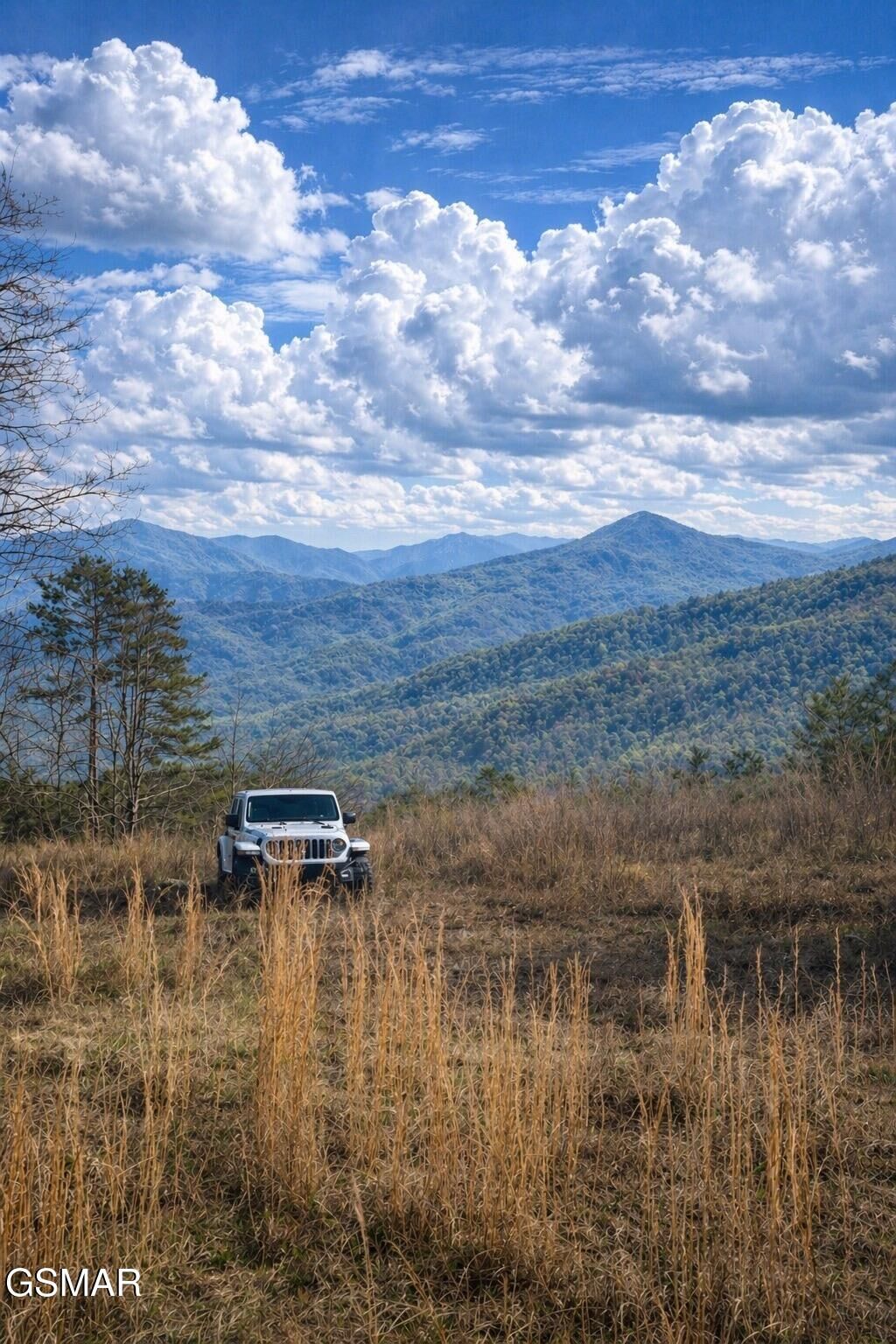 Property Photo:  1440 Goose Gap Road  TN 37876 