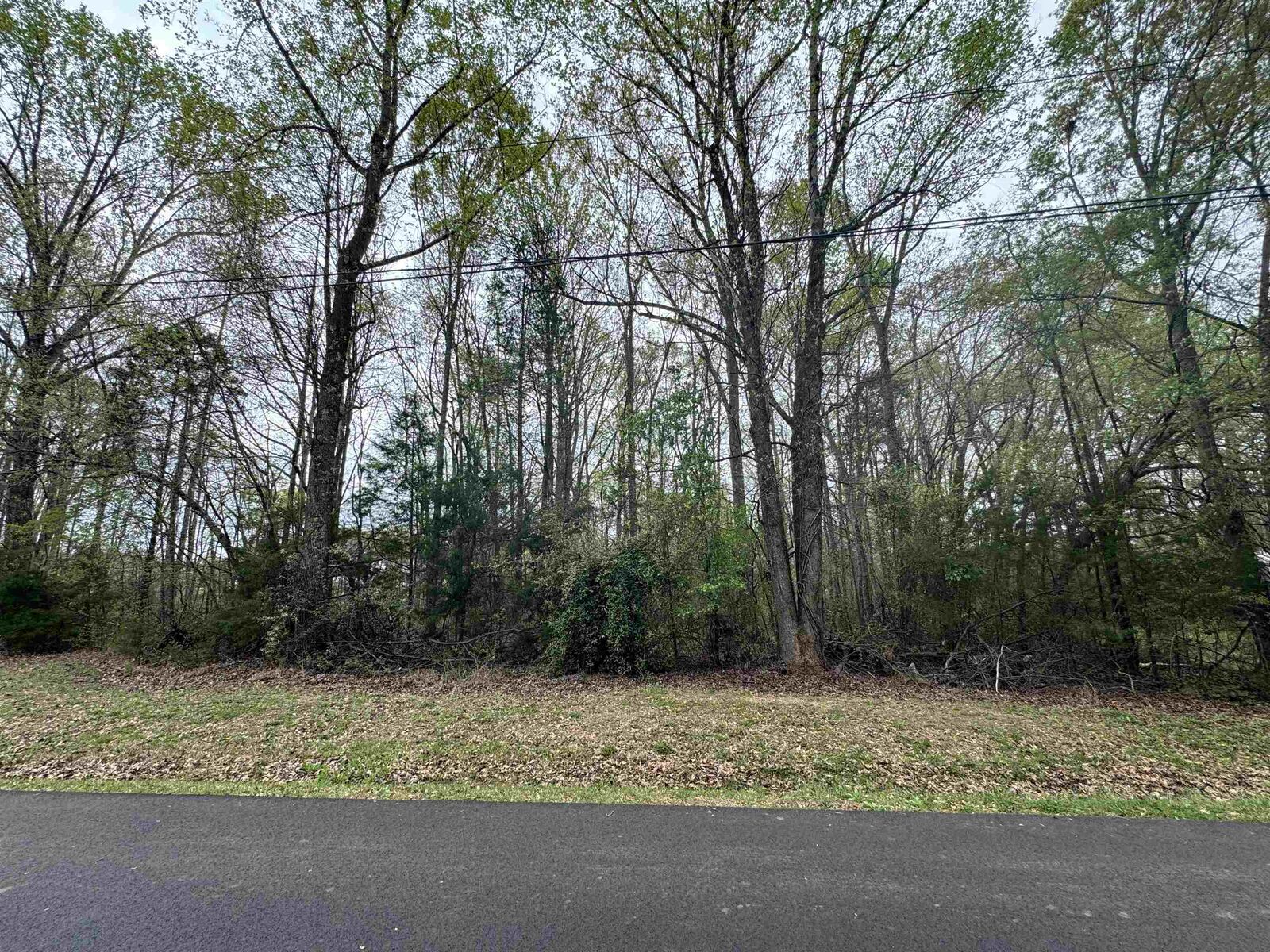 Property Photo:  0 Cedar Circle ***  SC 29323 