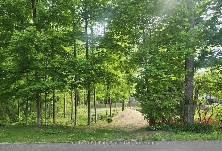 81 Polish Avenue — photo 1