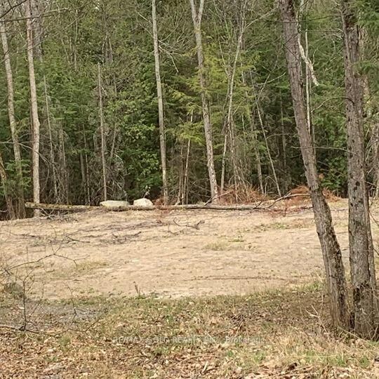 Property Photo:  5 Mountain Basin Drive  ON P2A 2W9 