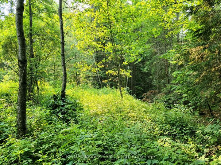 Property Photo: 35 Mount Vernon Trail 26 ON P1H 1E3