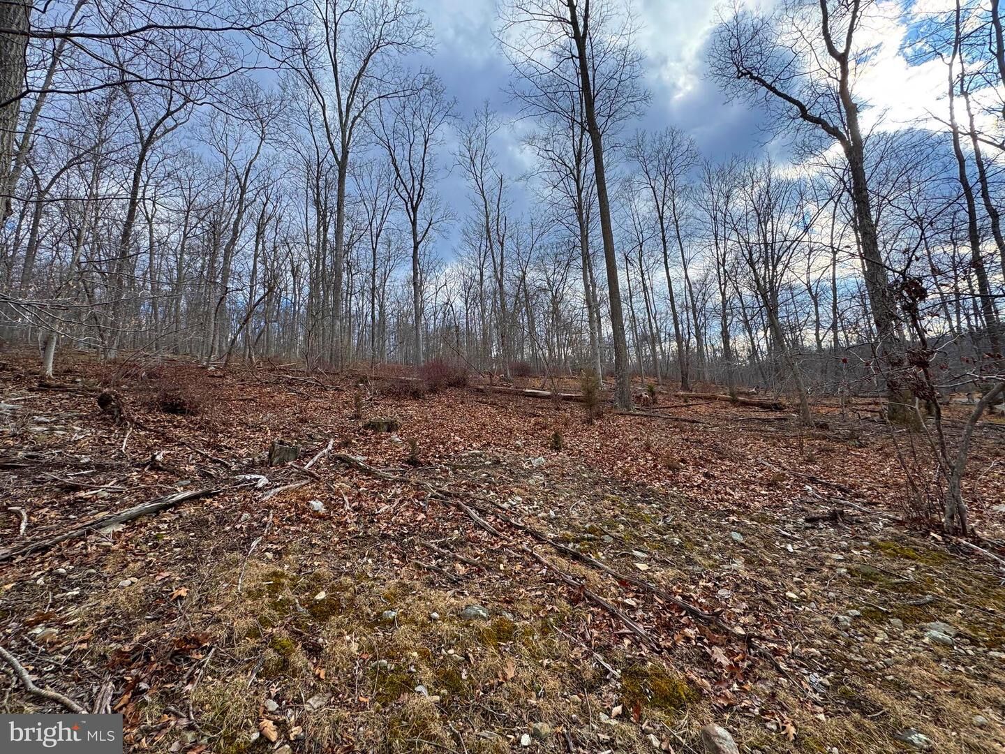 Property Photo:  Frog Hollow Road  WV 26711 