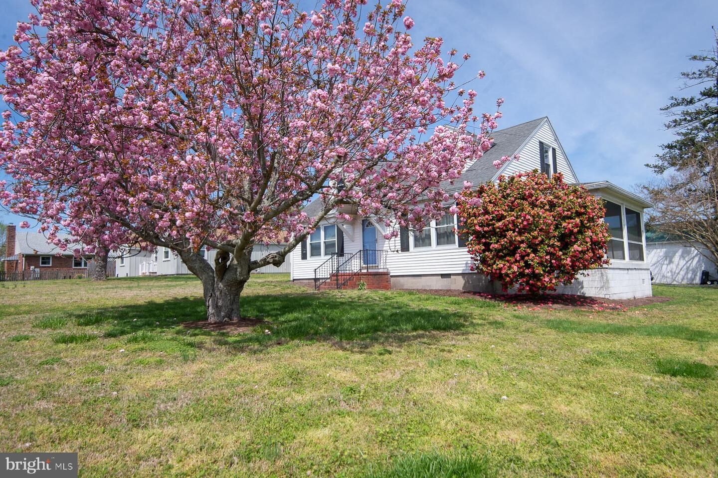 Property Photo:  209 Buena Vista Avenue  MD 21613 