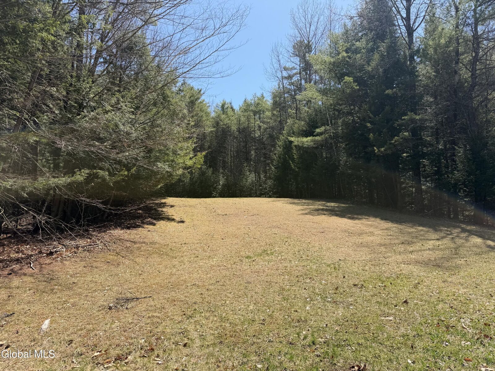 Property Photo:  5509 Lincoln Pond Road Lot 1  NY 12932 