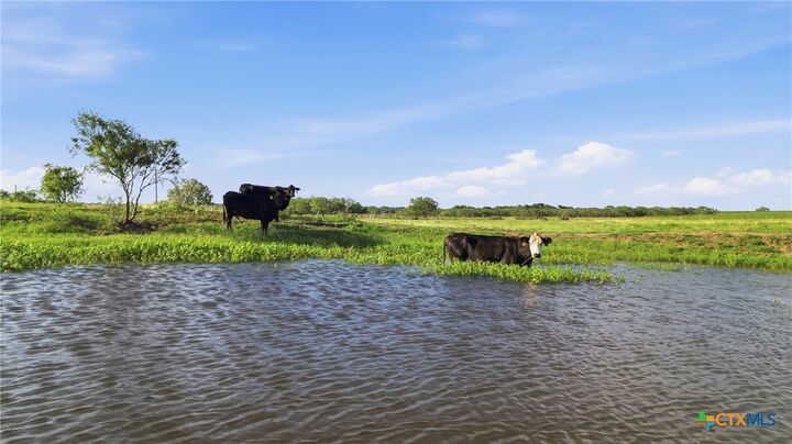 Property Photo: 202 Fm 466 TX 78614