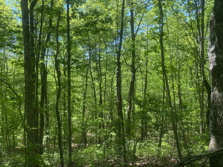 Property Photo:  532 Rogers Lane  KY 40447 