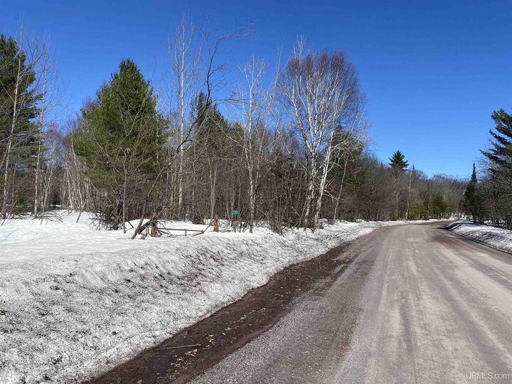 Property Photo:  24220 Woodland Road  MI 49913 