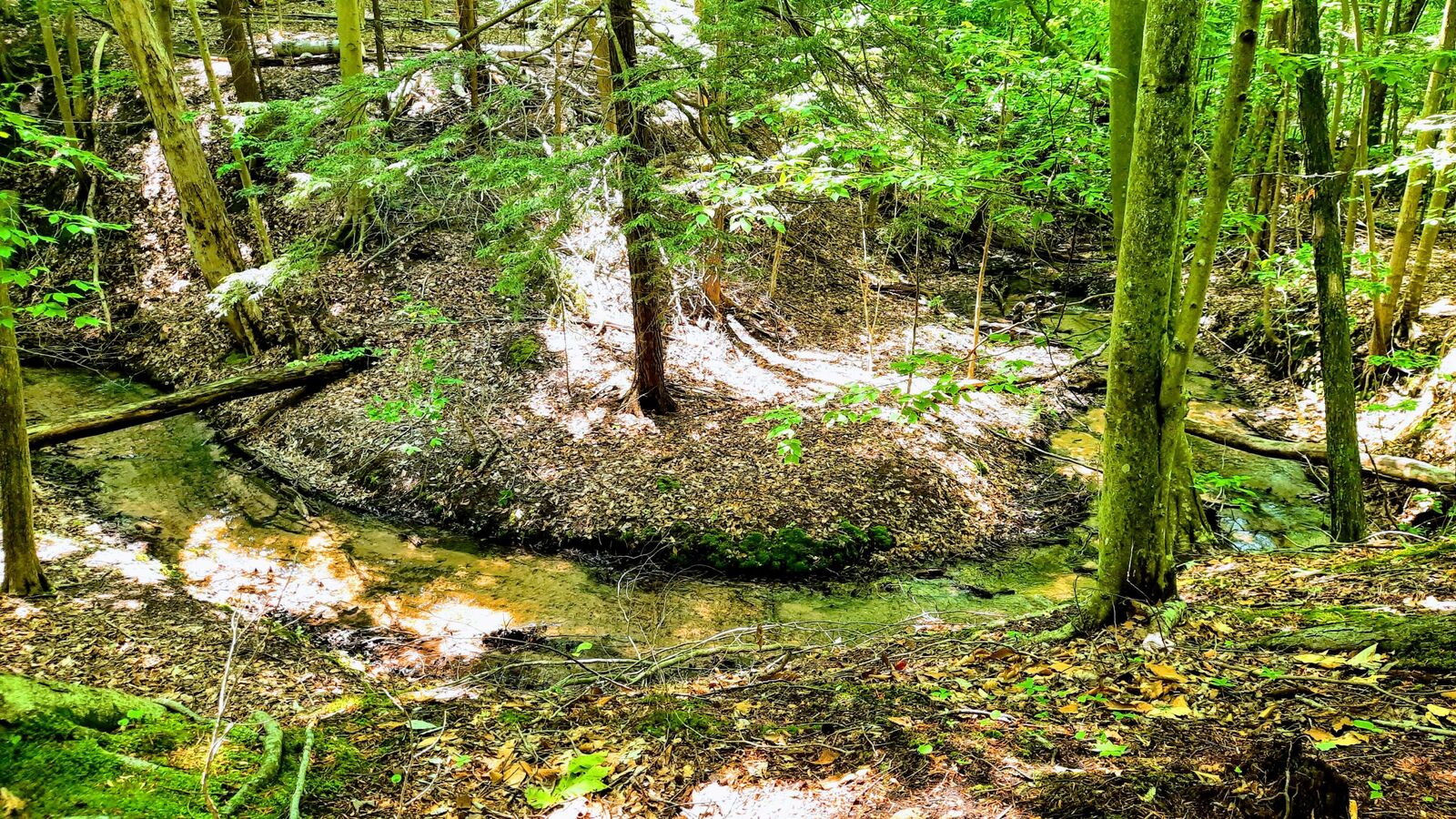 Property Photo: 8 Acres, 3rd Street MI 49675