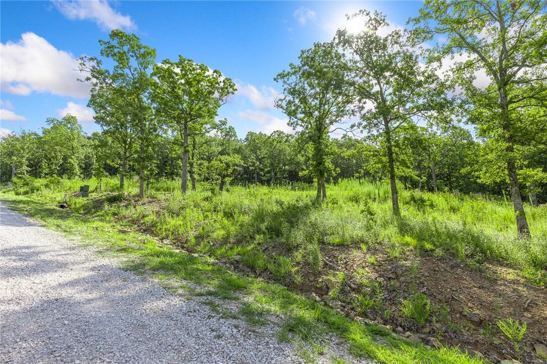 Property Photo:  Lot 15 Peaceful Place  AR 72601 