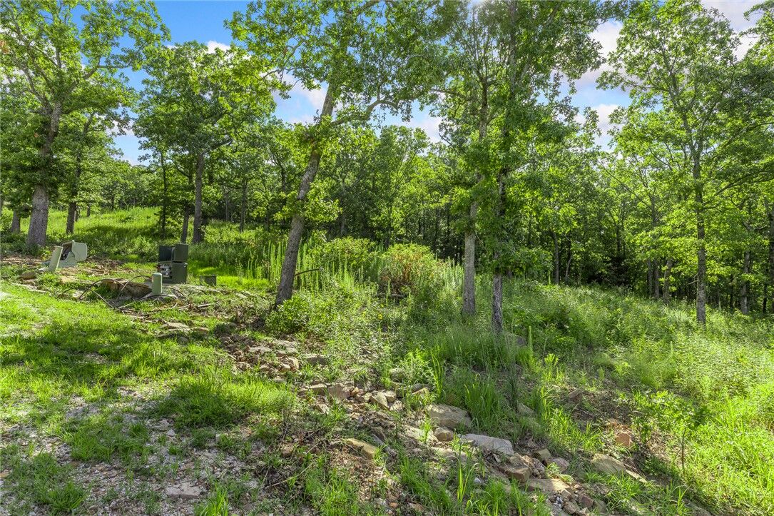 Property Photo:  Lot 16 Peaceful Place  AR 72601 