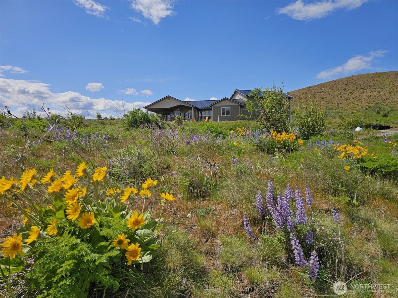 Property Photo:  1522  Deer Valley Drive  WA 98926 