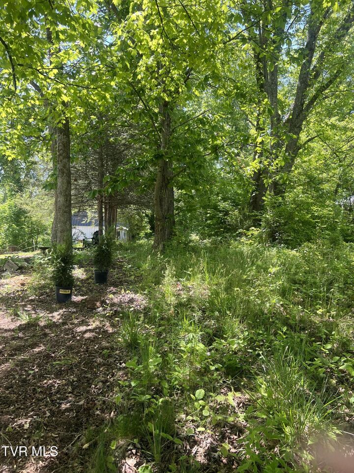 Property Photo:  00 East Main Street  TN 37659 