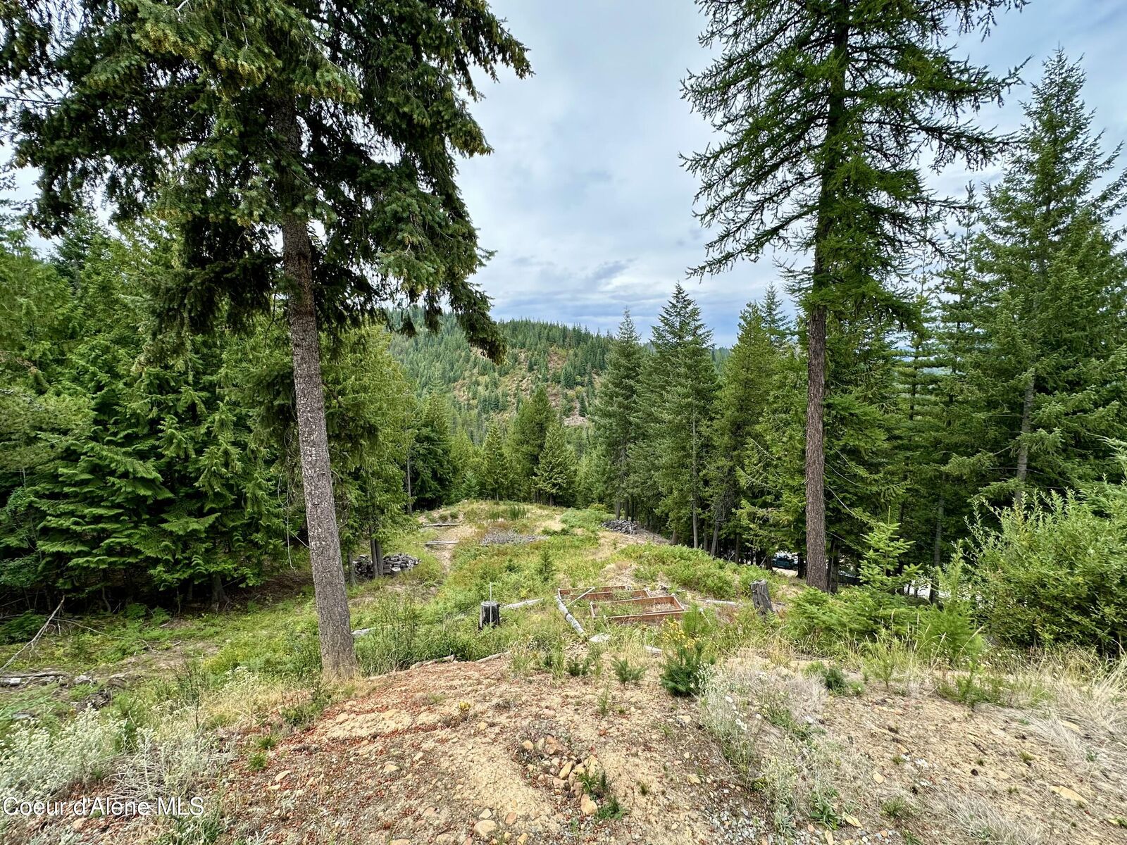 Property Photo:  625 E Fork French Gulch Rd  ID 83839 