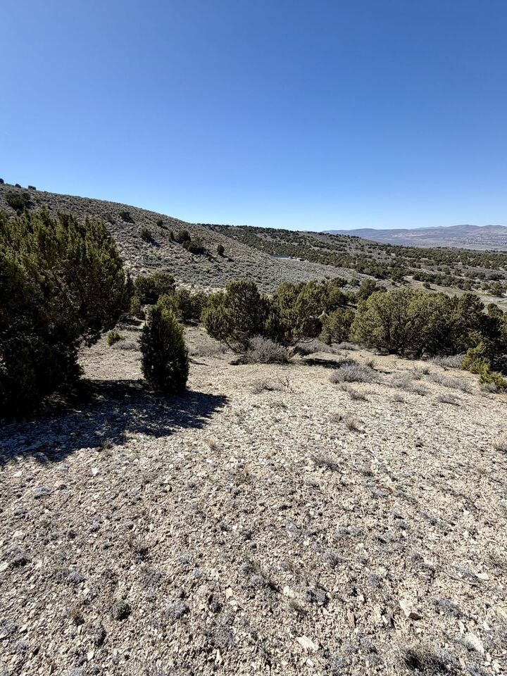 Property Photo:  Andy'S Way  NV 89801 