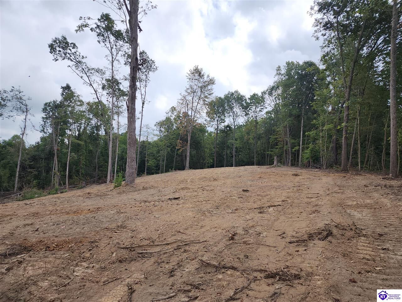 Property Photo: Tract 1 Leitchfield Road KY 42724