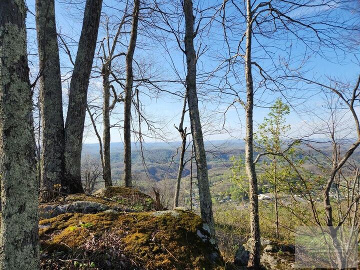 Property Photo:  300 Overlook Lane  VA 24315 
