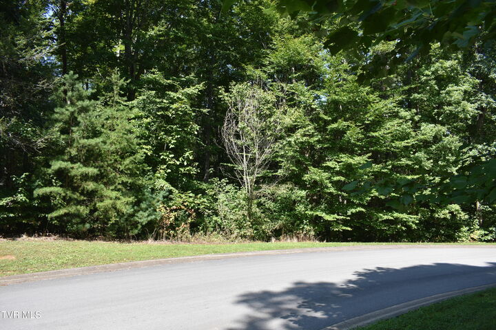 Property Photo:  112 River Pointe Drive  TN 37745 