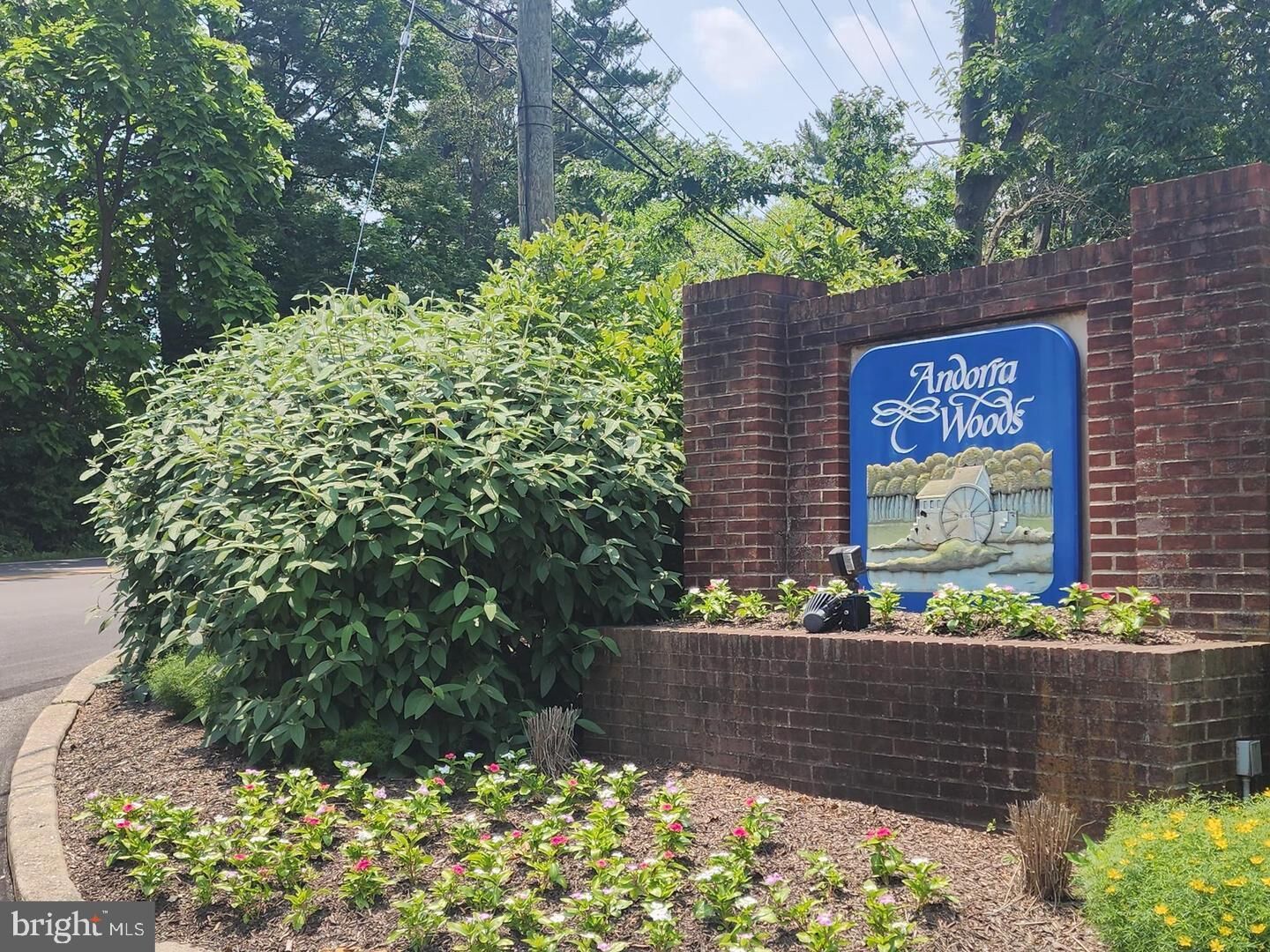 Property Photo:  25 Forsythia Court  PA 19444 