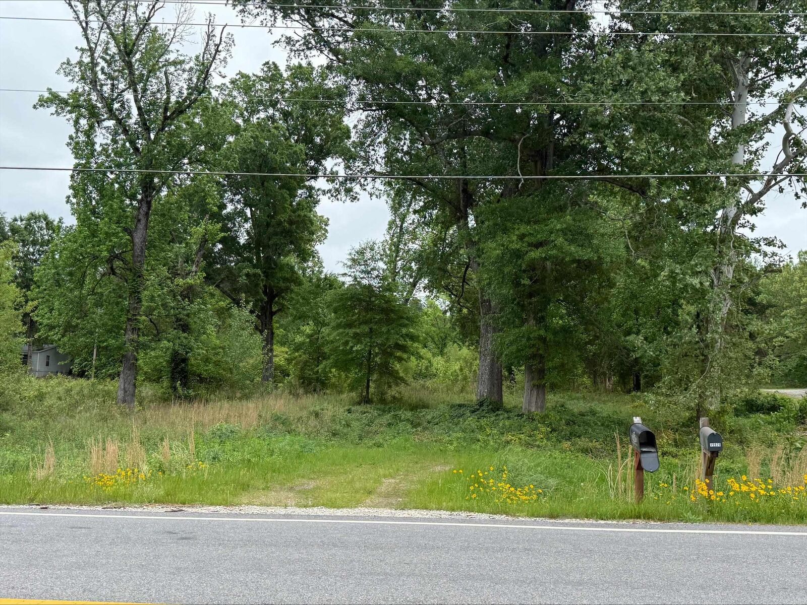 Property Photo: 19926 Arch St AR 72206