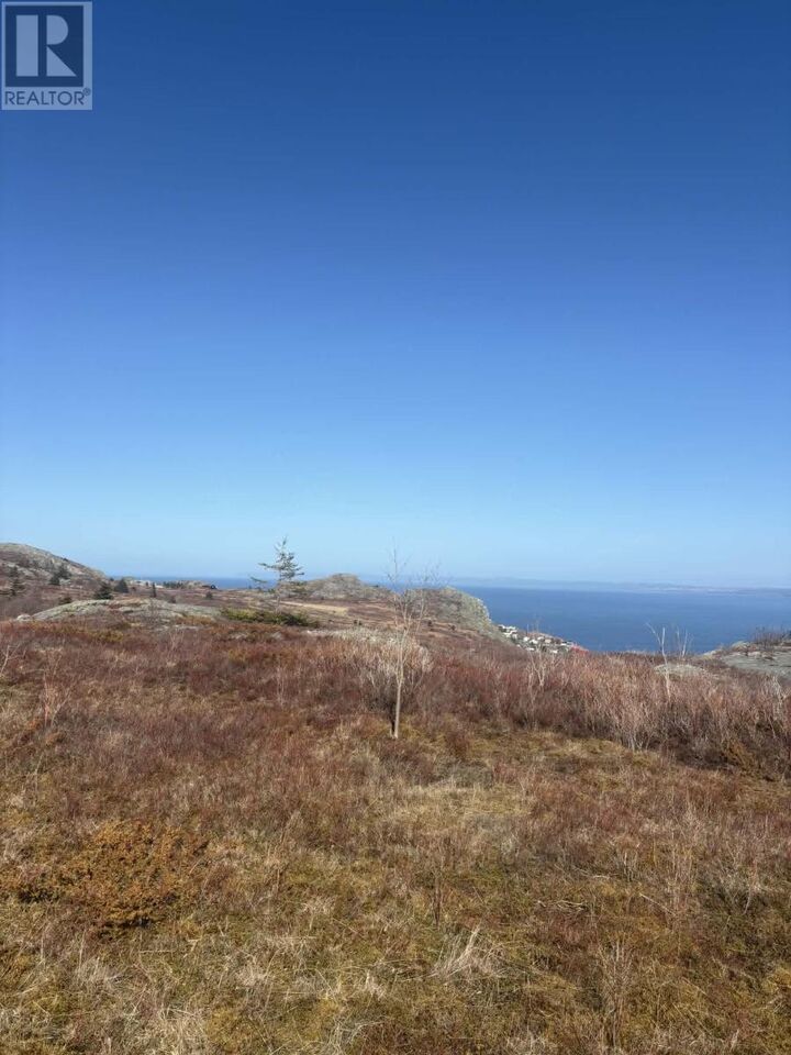 Property Photo:  0 Farm Road  NL A0A 4E0 