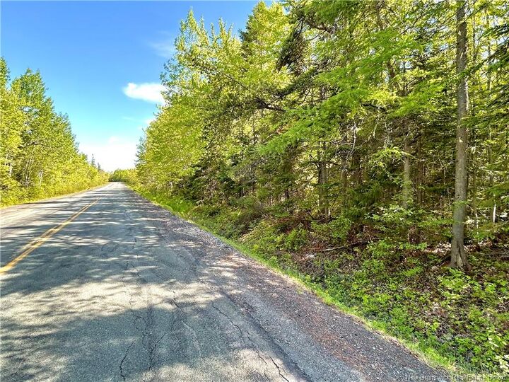 Property Photo:  53.1 Acres Route 117  NB E1N 4Y7 