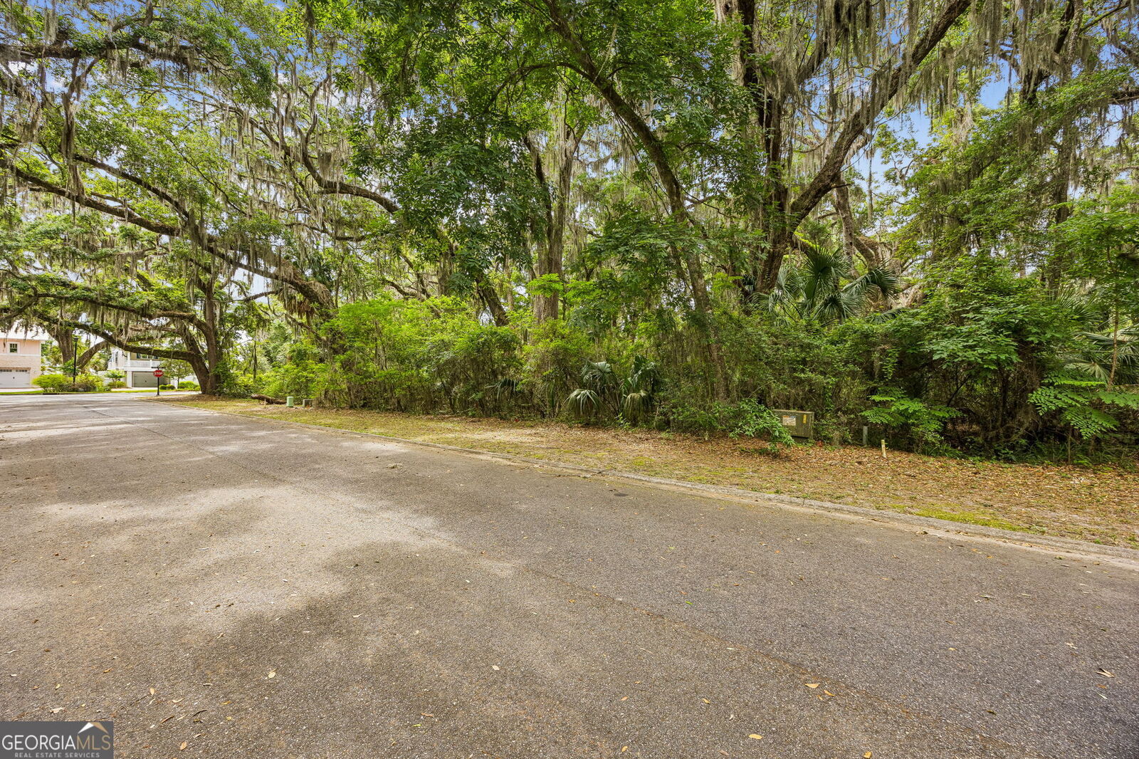 Property Photo:  103 Wagner Lane  GA 31558 