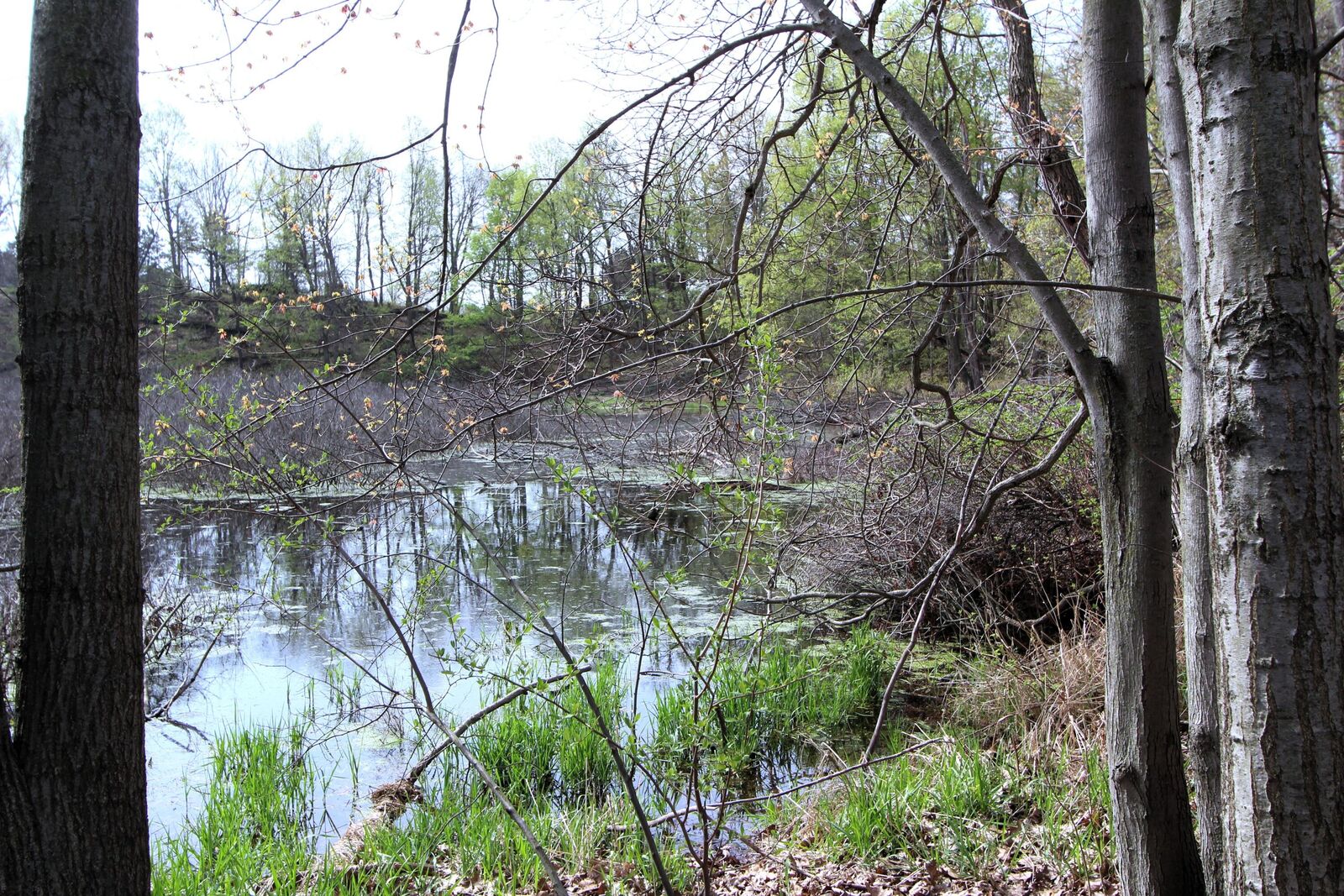 Property Photo:  V/L Frost Road  MI 48875 