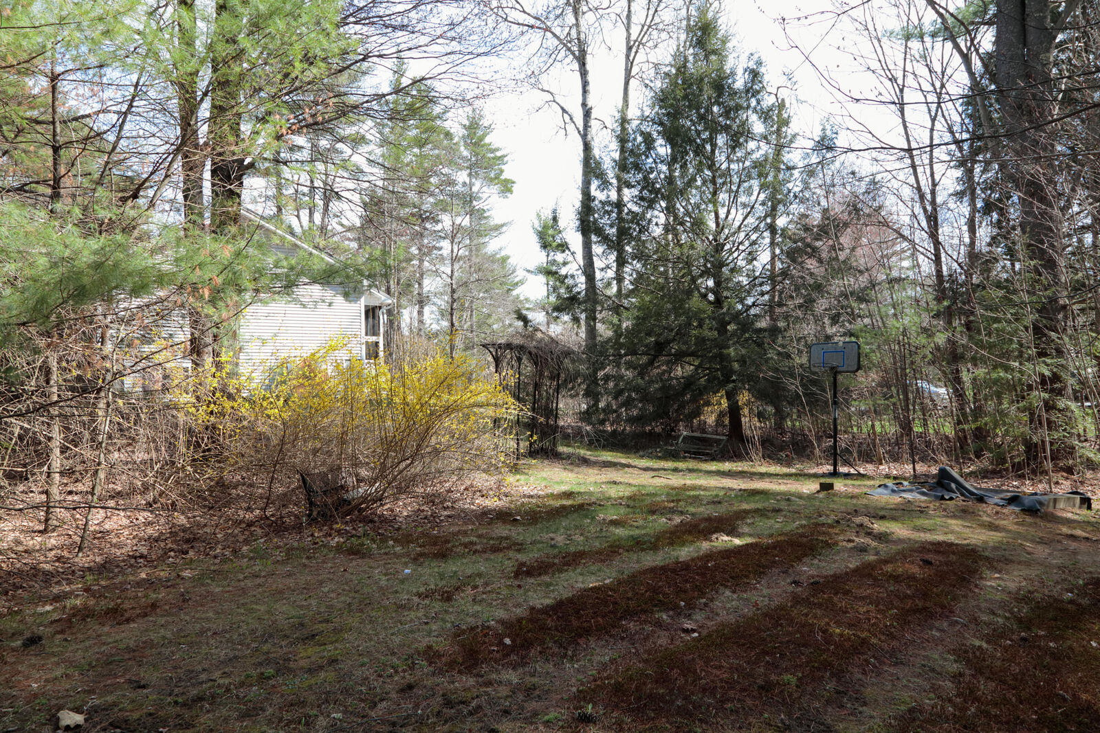 Property Photo:  26 Deer Trail Lane  ME 03901 
