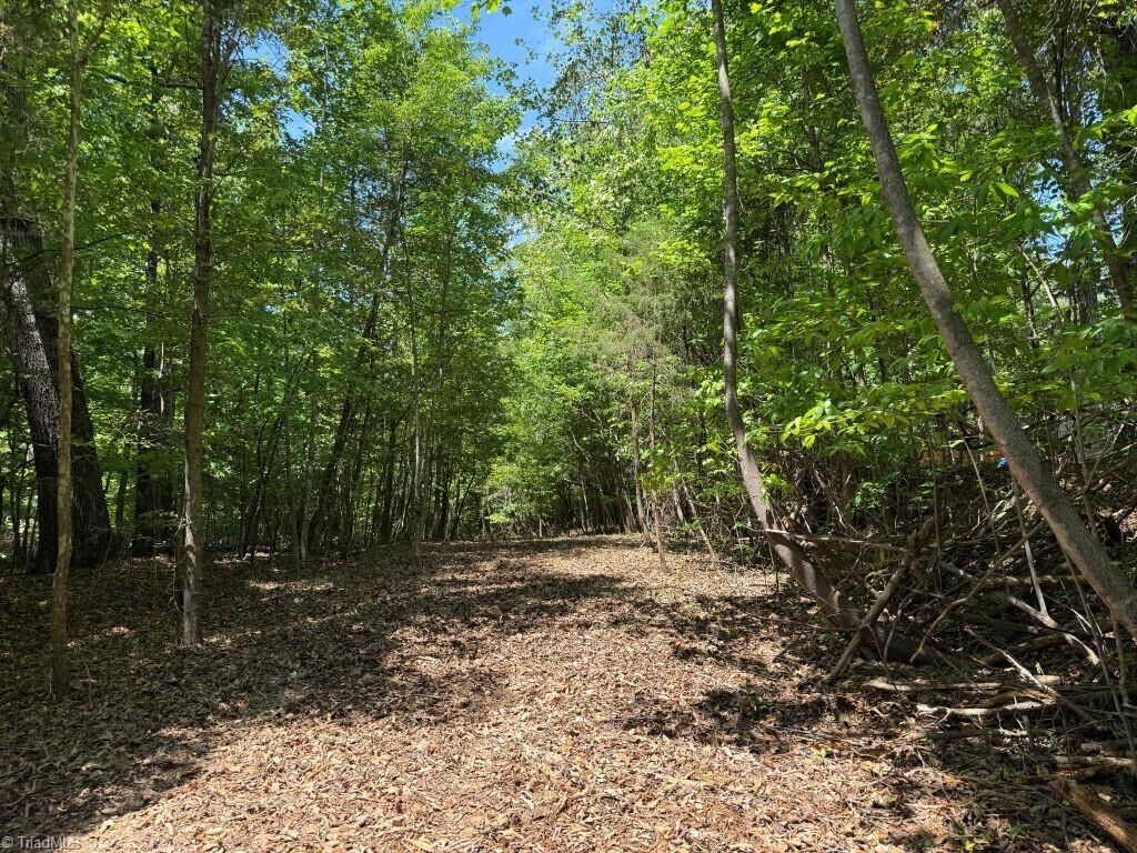 Property Photo:  00 Broadview Drive  NC 27040 