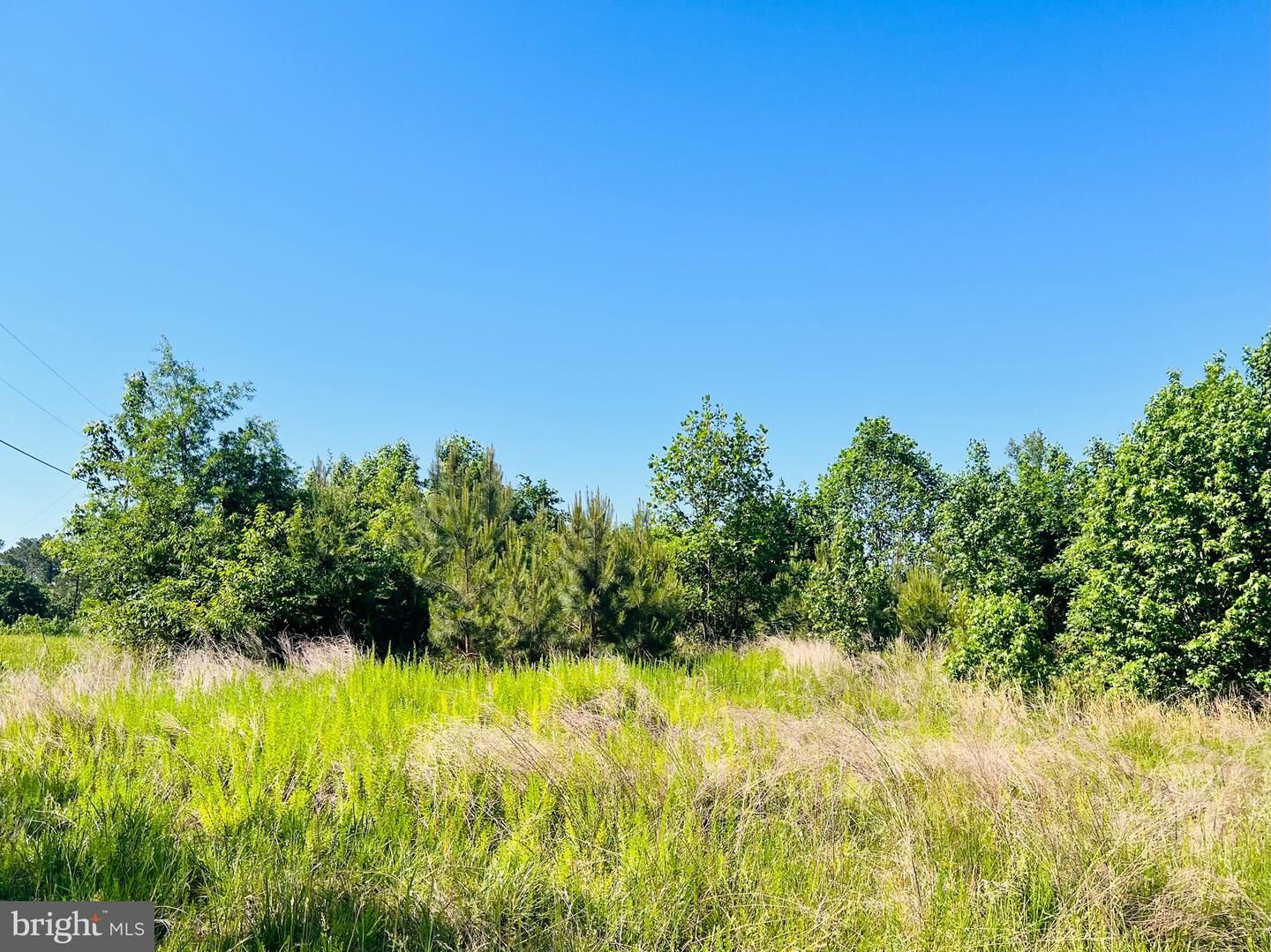 Property Photo:  0 Forest Road  VA 22572 