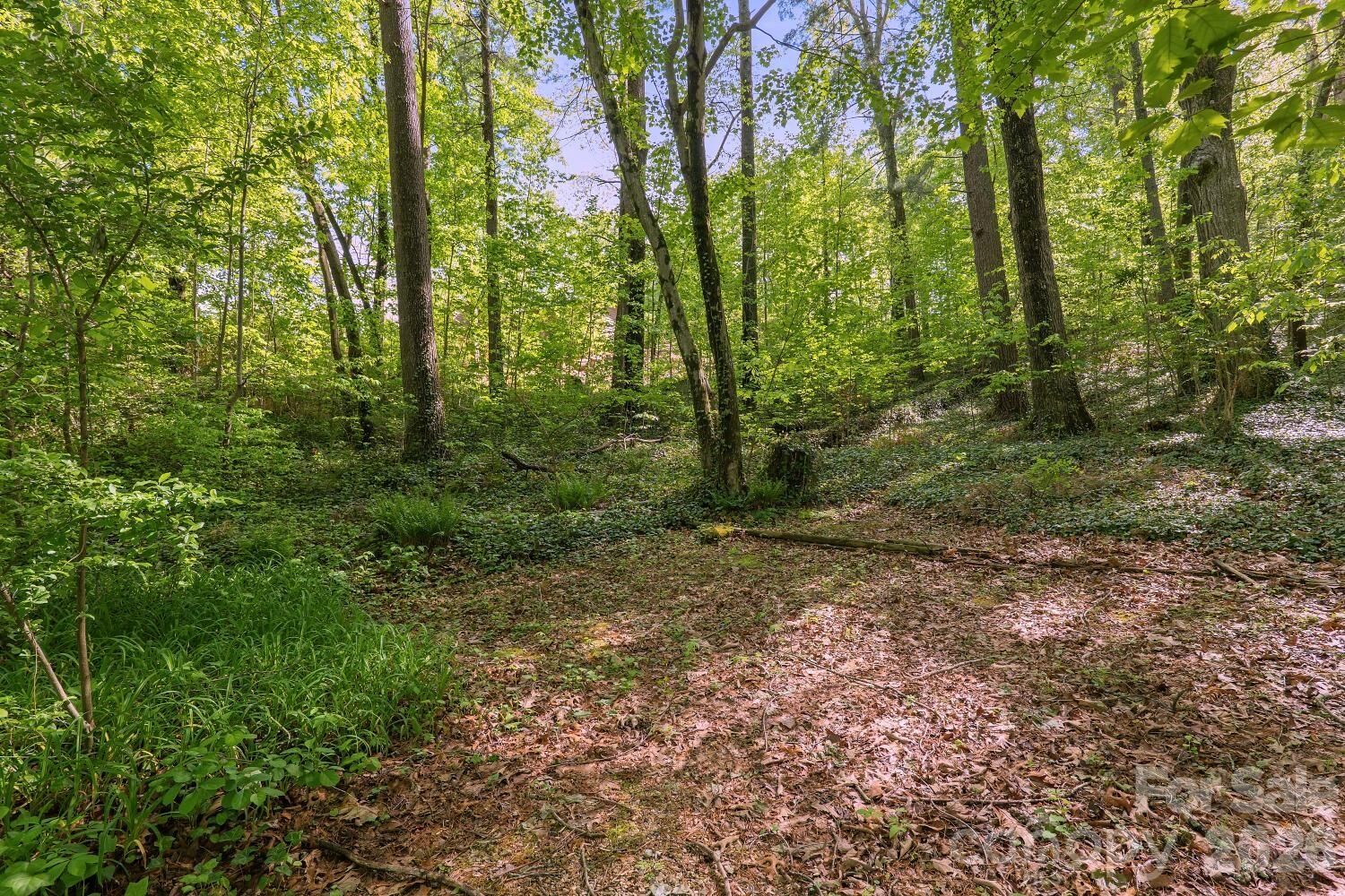 Property Photo:  000 Skyline Drive 17  NC 28791 