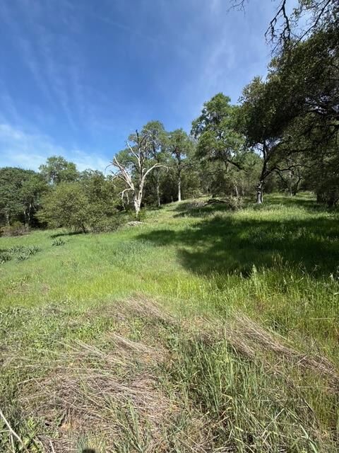 Property Photo: 0 Mirinda Lane CA 95614
