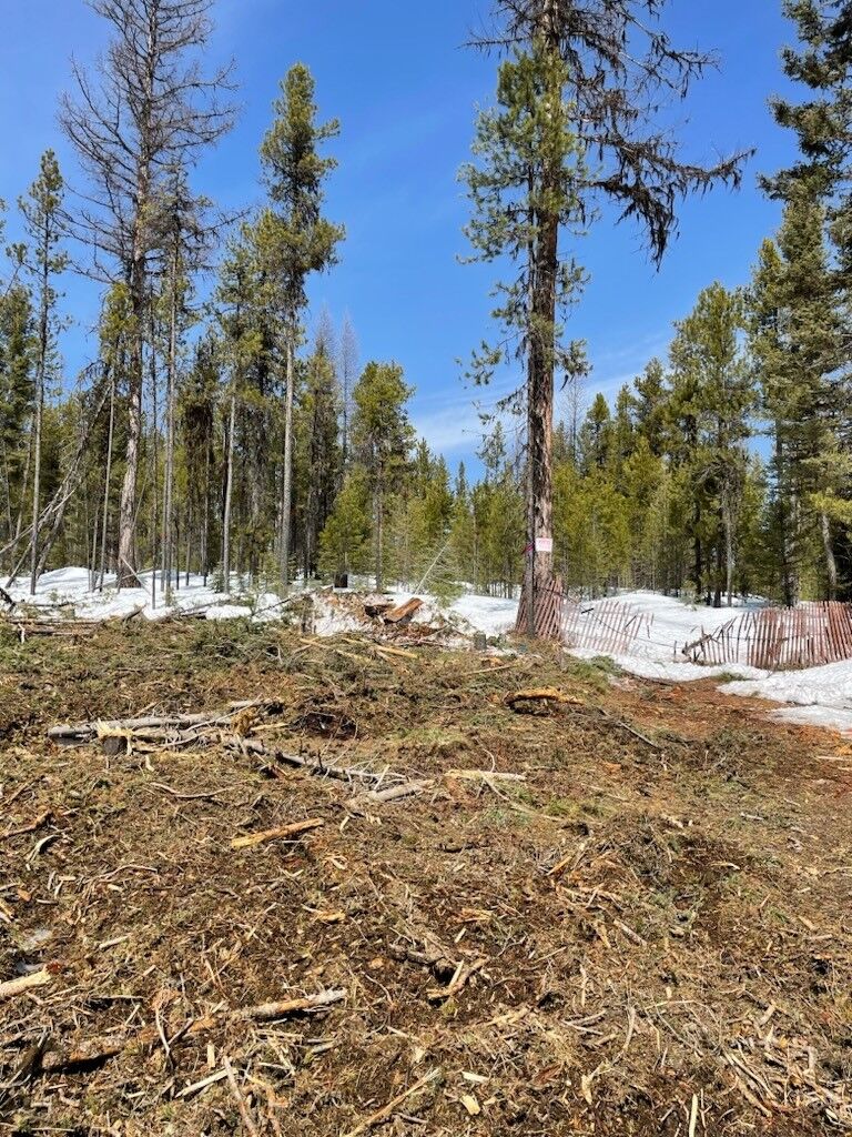 Property Photo:  Nhn Dirty Ike Creek Road  MT 59825 