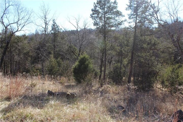 Property Photo:  15 Deer Run Drive  AR 72631 