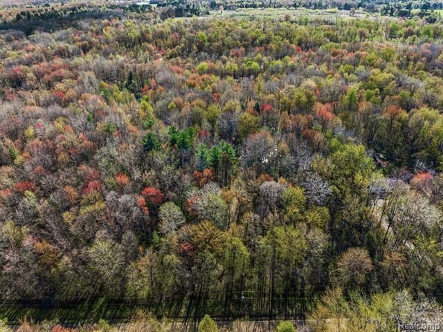Property Photo:  6799 Maplegrove Road  MI 48768 