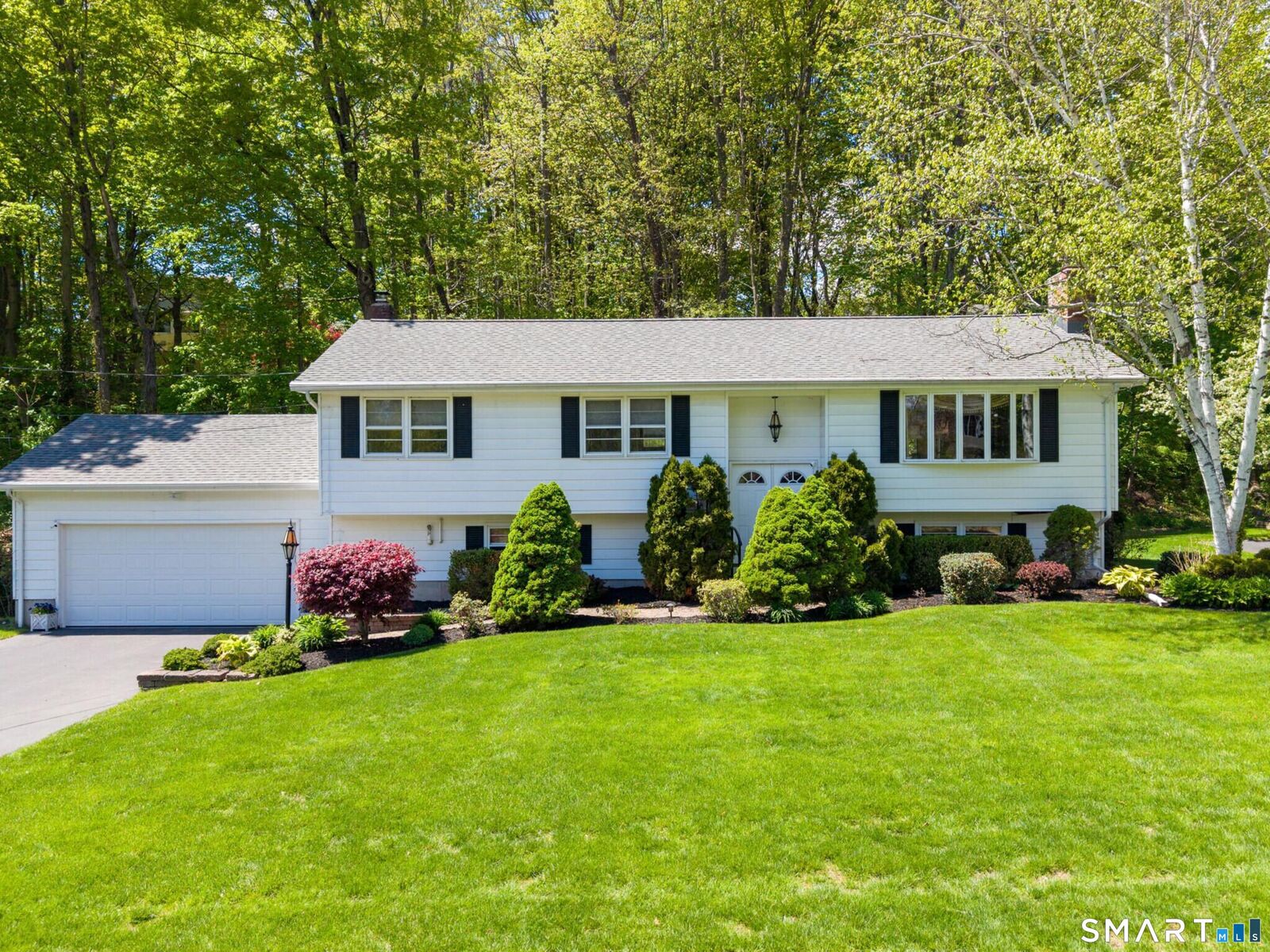 Property Photo:  253 Braeside Drive  CT 06514 