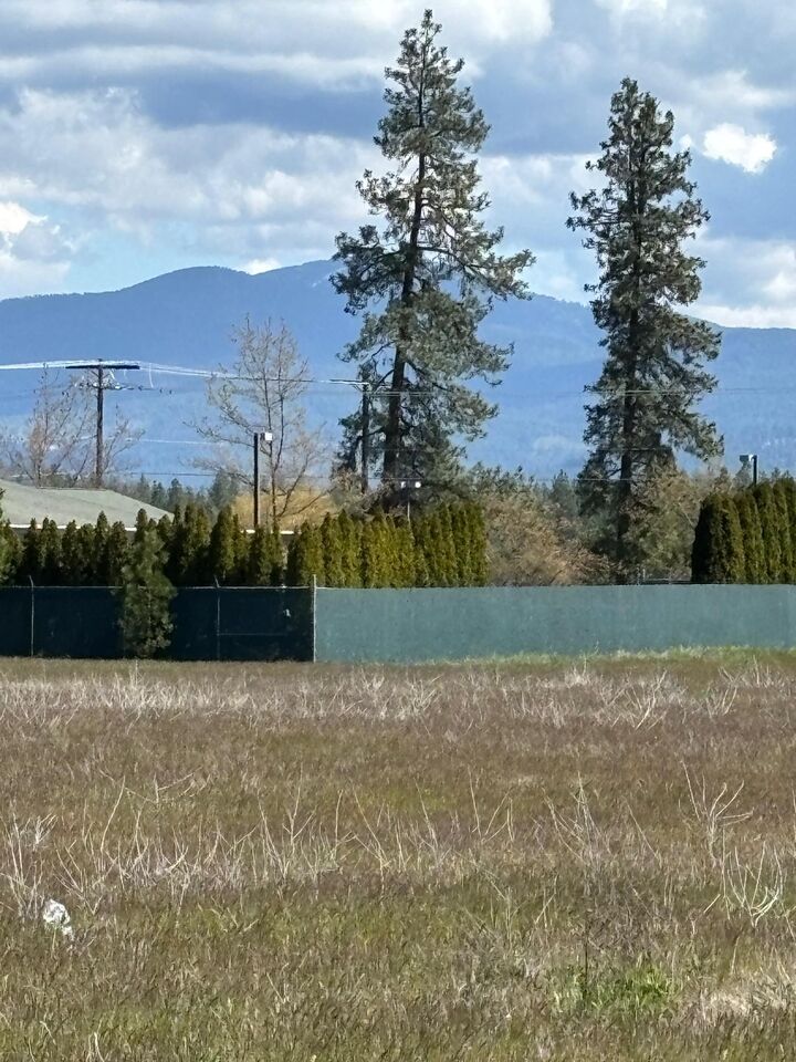 Property Photo: 000 N Yale Rd WA 99005