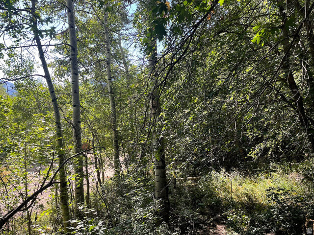 Property Photo:  10337 N River Rd 123  UT 84055 