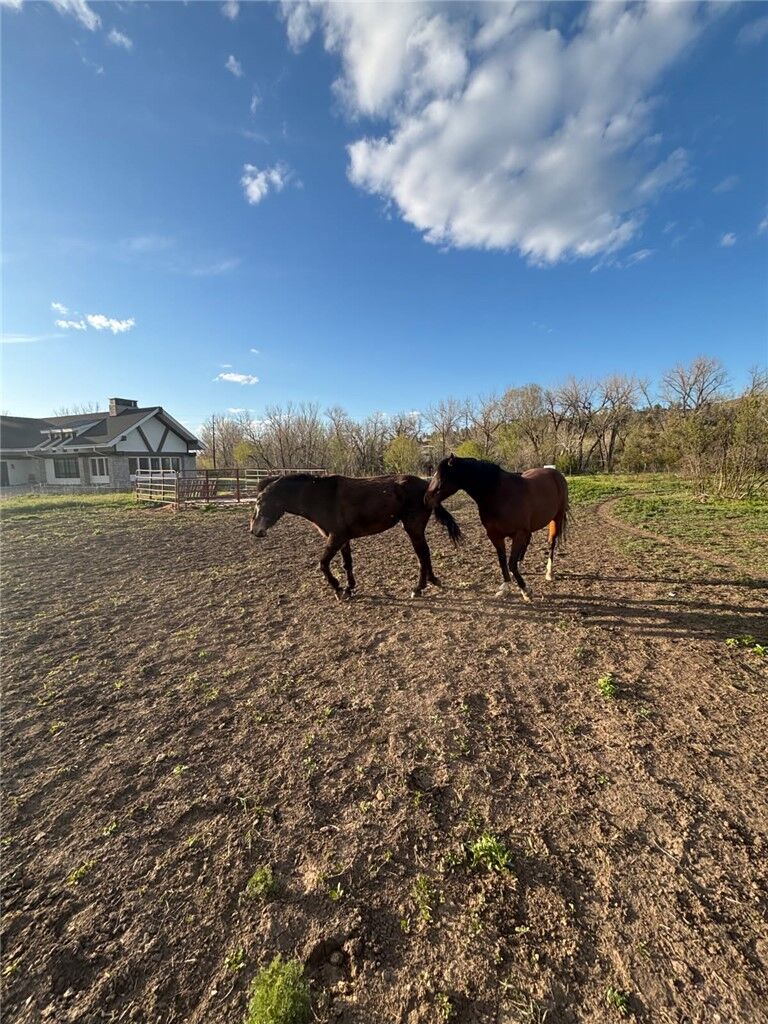 Property Photo: 2503 Blue Creek Road MT 59101
