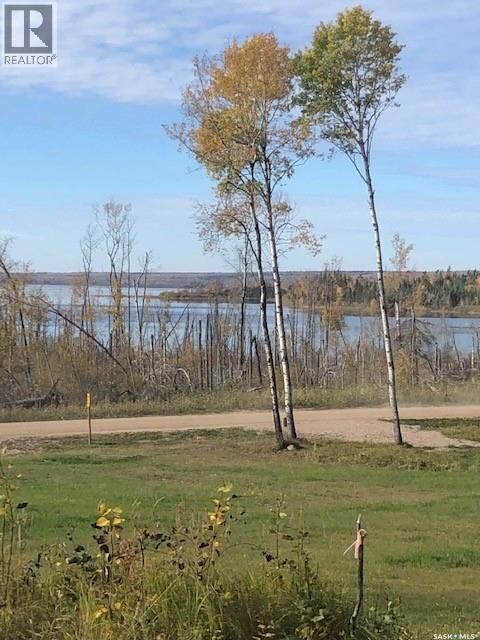 Property Photo:  520 Diamond Willow Drive  SK S0M 1A0 